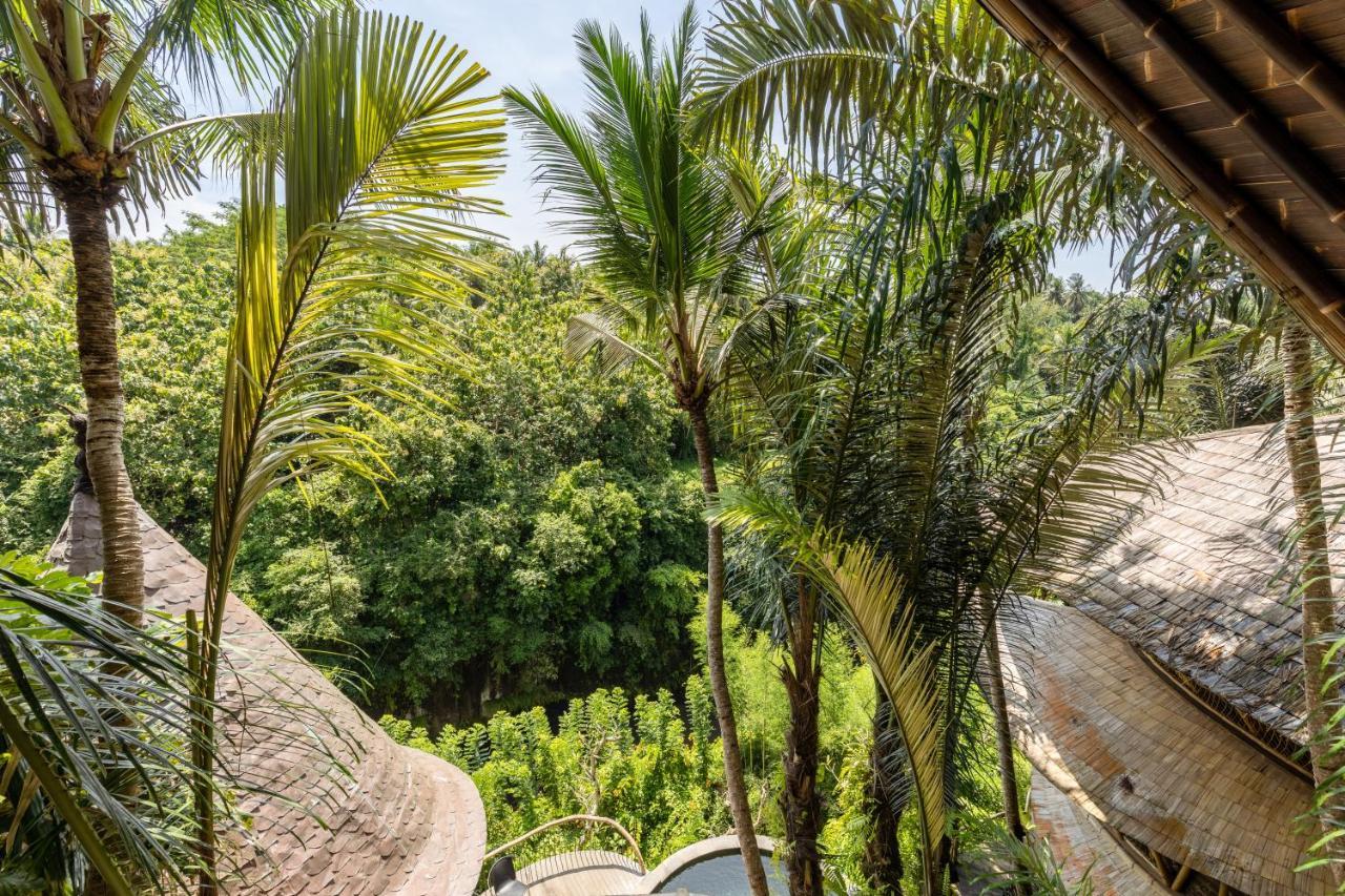 Eclipse House 4Bds Eco Bamboo House Pool Riverview Bringkit Экстерьер фото