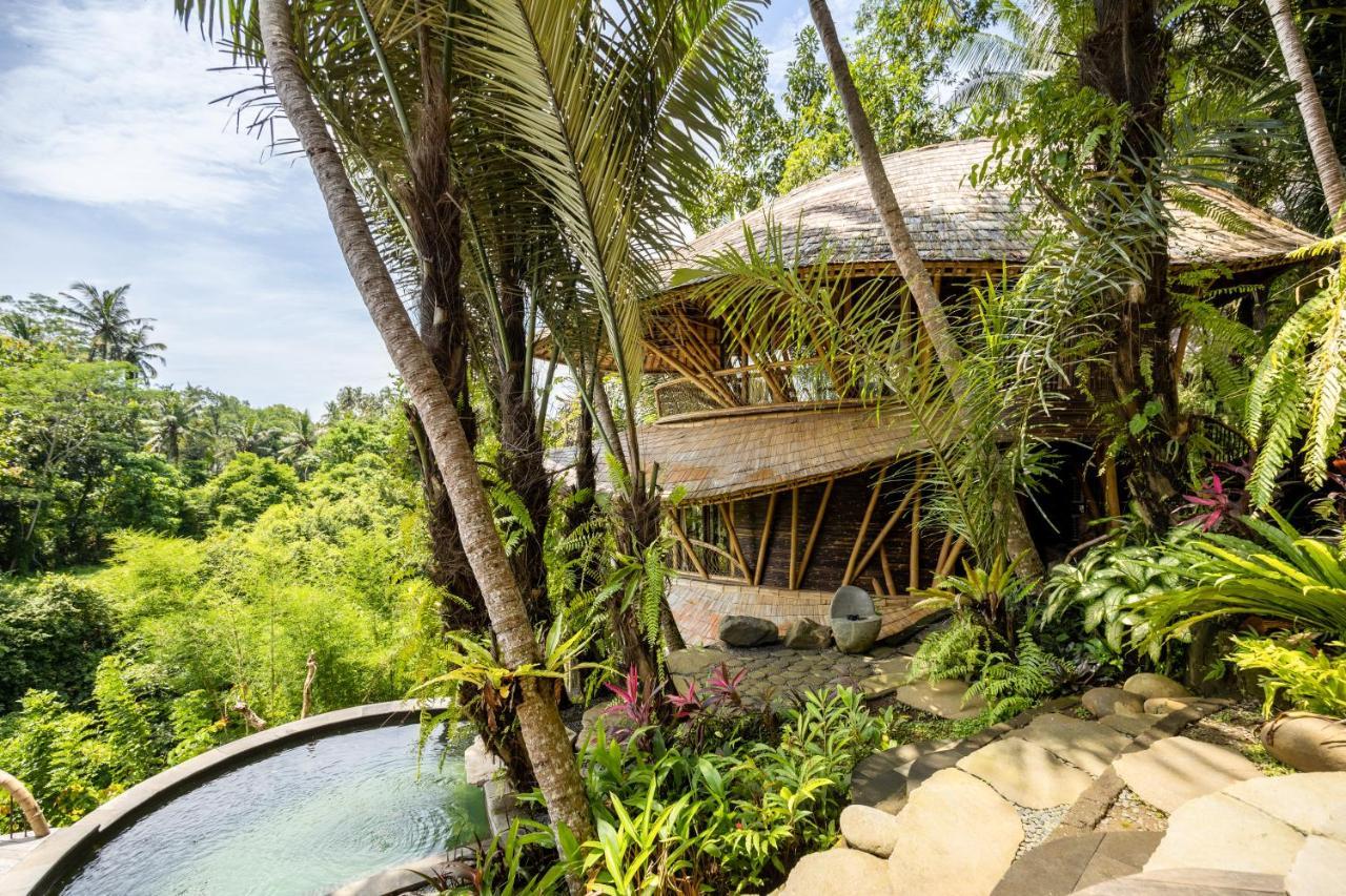 Eclipse House 4Bds Eco Bamboo House Pool Riverview Bringkit Экстерьер фото