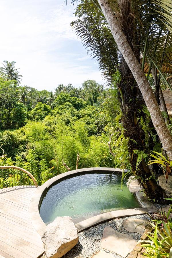 Eclipse House 4Bds Eco Bamboo House Pool Riverview Bringkit Экстерьер фото